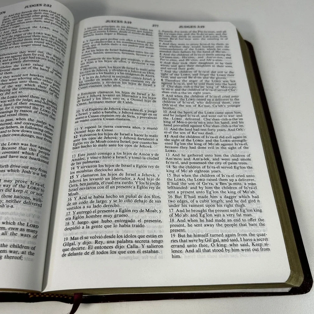 Santa Biblia Holy Bible Reina Valera 1960 KJV Holman Burgundy Indexed Leather‎